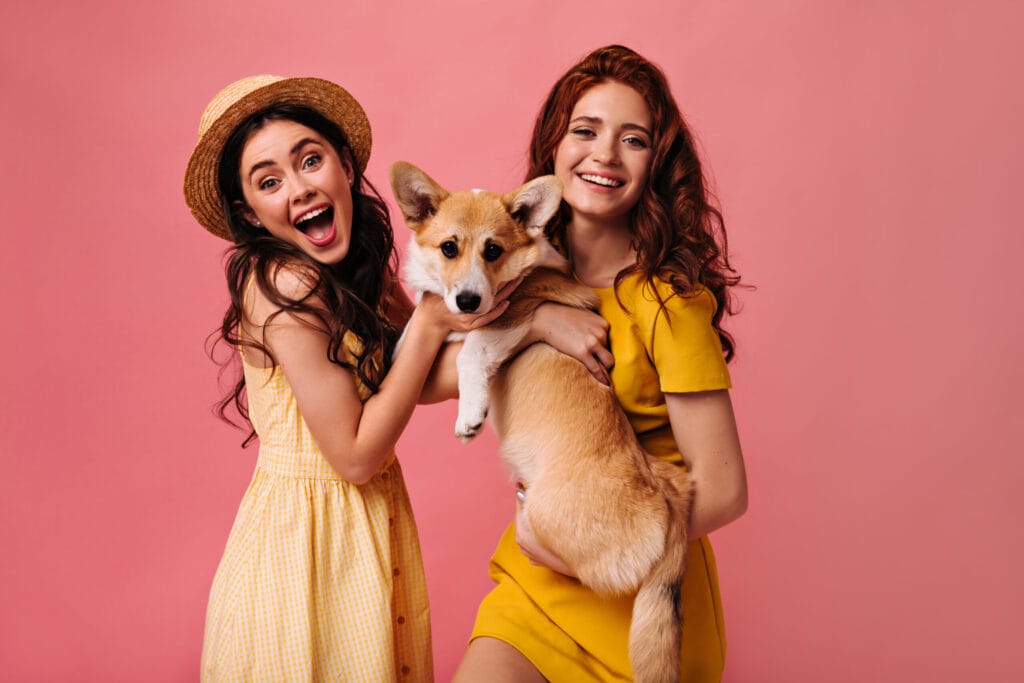 Pet Shop Eğitimi