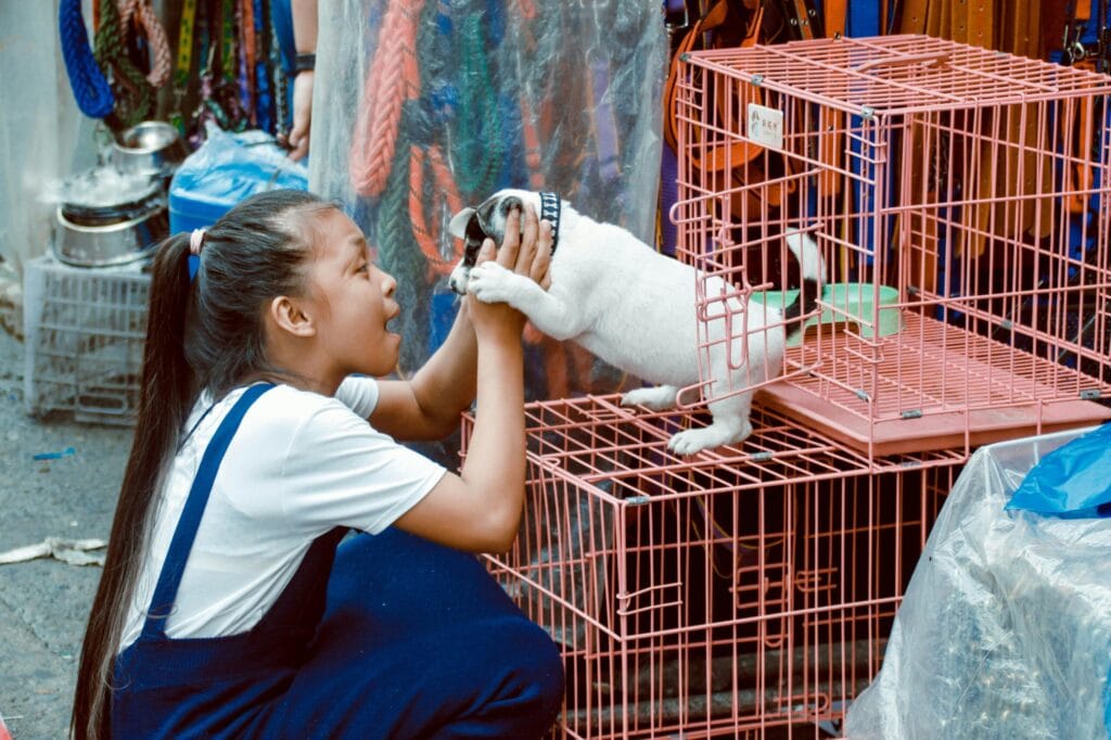 Pet Shop Eğitimi